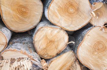 Stack of firewood, round birch chunks, closeup photo