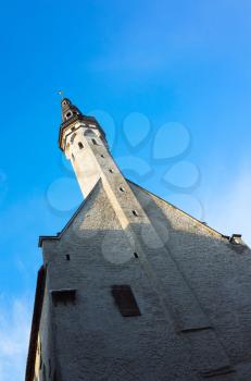 Town Hall of old Tallinn, Estonia. Vertical photo under blue sky