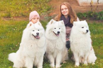 Smiling girls sit with three white Samoyed dogs in autumn park