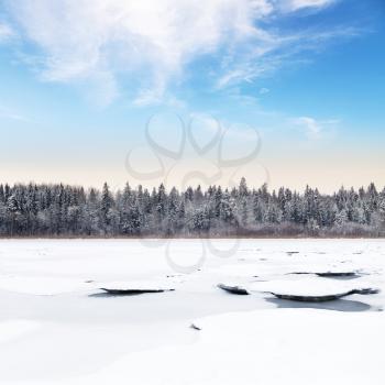 Winter landscape with coastal forest on frozen lake at cold day. Karelia, Russia. Square background photo