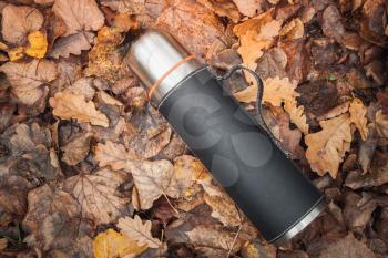 Vacuum thermos made of stainless steel lays on fallen autumn leaves in park