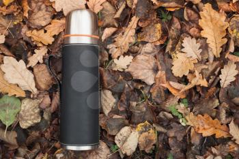 Vacuum tourist thermos made of stainless steel lays on fallen autumn leaves in park