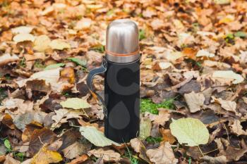 Vacuum tourist thermos made of stainless steel stands on fallen autumn leaves in park