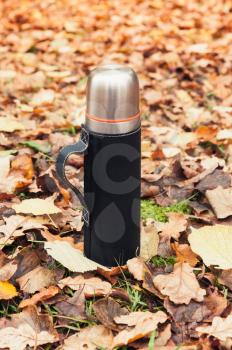 Stainless steel vacuum tourist thermos stands on fallen autumn leaves, vertical photo
