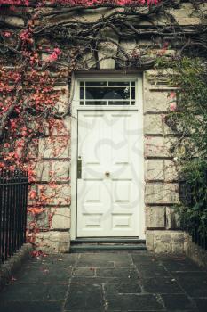 Closed white wooden door in stone wall with decorative climbing plant, dark vintage toned vertical background photo