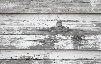 Old wooden wall with peeling white paint, background photo texture