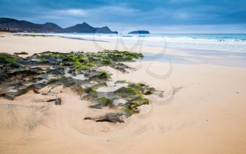 Wet stones with green seaweed on the beach of Porto Santo island, Madeira archipelago, Portugal