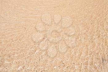 Atlantic Ocean coast background texture, sandy bottom under shallow water