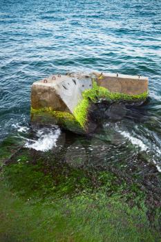 Broken concrete pier part with green seaweed