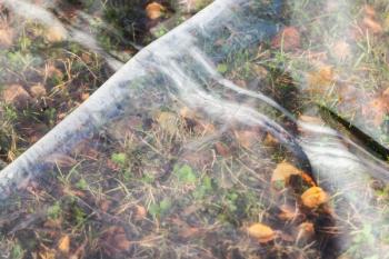 Misted polyethylene film lies on top of natural ground with grass and leaves, the greenhouse effect illustration