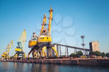 Yellow port cranes stand on the pier in Burgas harbor, Black Sea, Bulgaria