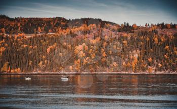 Fishing boats are near Kjerringvik village. Rural Norwegian landscape at autumn day