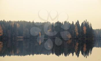 Panoramic autumnal landscape with threes on a coast, fog and still lake. Tonal correction filter effect