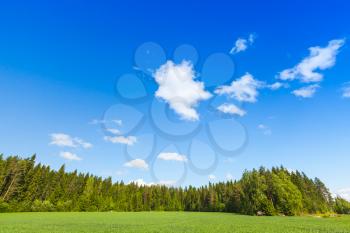 Summer landscape, empty green field and forest under blue sky. Europe, Finland