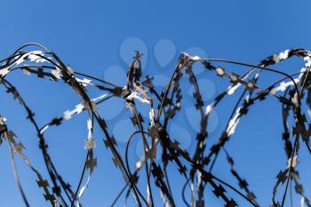 Rough barbed wire over blue sky background, close-up photo with selective focus