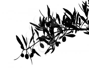 Black silhouette of olives on branch isolated on white