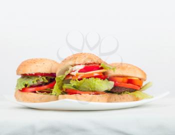 Big homemade hamburgers lay on white plate. Closeup studio photo