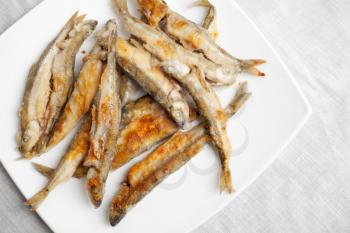 Pile of fried smelts fish lays on a white plate, closeup photo with selective focus, top view