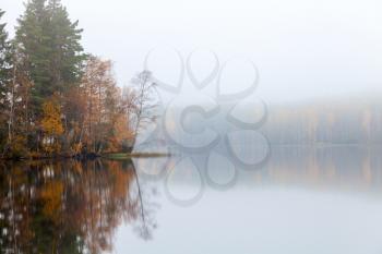 Autumnal landscape with coastal threes, fog and still lake