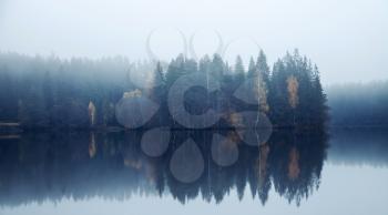 Blue toned photo. Panoramic autumnal landscape with threes on a coast, fog and still lake