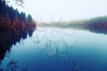 Autumnal landscape with threes on a coast, fog and still lake, blue tonal filter photo correction