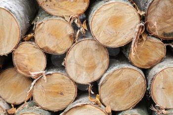 Pile of firewood, closeup photo of birch chocks