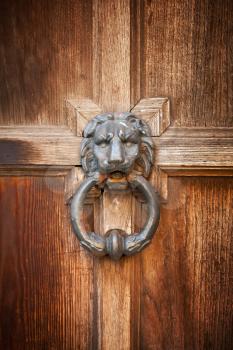 Old doorknob in shape of lion head with ring on vintage wooden door
