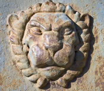 Metal Lion head on the wall