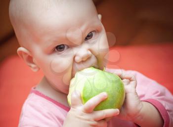 Funny little hungry baby in a pink jacket greedily eats green juicy apple