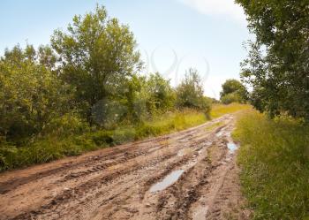 Russian rural landscape with empty countryside dirt wet road