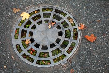 Round sewer manhole on dark asphalt with autumnal leaves and green grass inside
