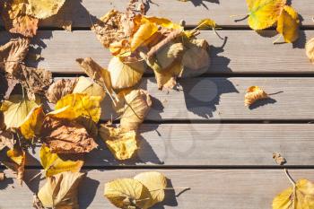 Background texture old wooden table and yellow autumnal leaves, top view