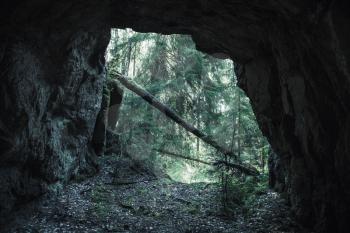 Exit to the forest from the dark rocky cave, dark green tonal filter correction