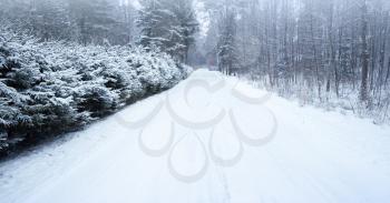 Empty snowy rural road photo background, cold winter season transportation