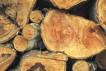 Stack of firewood, fresh birch chunks, close up photo