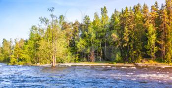 Natural photo background, summer landscape with forest on the river coast, Kotka, Finland