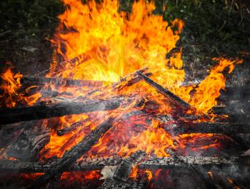Burning firewood in big bonfire. Close-up photo