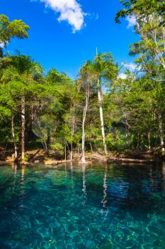 Still blue lake in the forest, natural vertical landscape of Dominican Republic