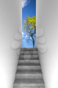 Concrete stairway goes up, abstract empty white interior background with green tree and blue cloudy sky outside, front view, 3d illustration 