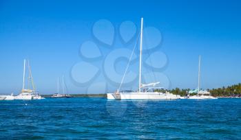 White pleasure boats anchored near coast of Caribbean Sea, Dominican republic, Saona island