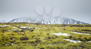 Foggy Icelandic landscape with green moss growing on rocks and snowy mountains on horizon, South coast of Iceland