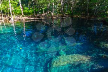 Still blue lake in wild tropical forest, natural landscape of Dominican Republic
