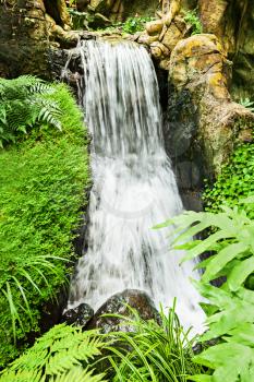 Beauty small waterfall in the deep jungle