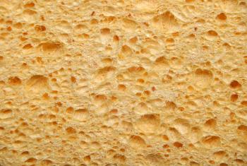Grunge surface of the sponge