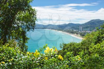 View to beautiful beach, focus on foreground flowers