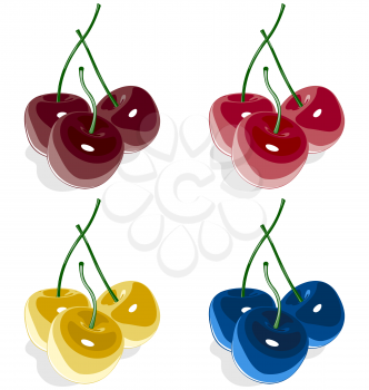 Sweet cherry multicolored isolated on white background
