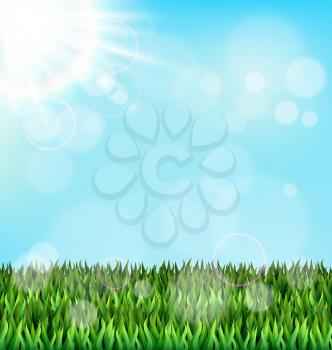 Green grass lawn with sunlight on blue sky. Floral nature spring background