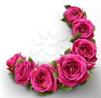 Roses Flowers Festive Border Congratulation Best Wishes Concept on White Background
