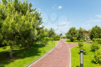 Long stone pavement alley in the green park in the spring