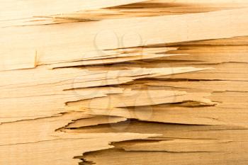 Closeup of broken wooden plank on grey